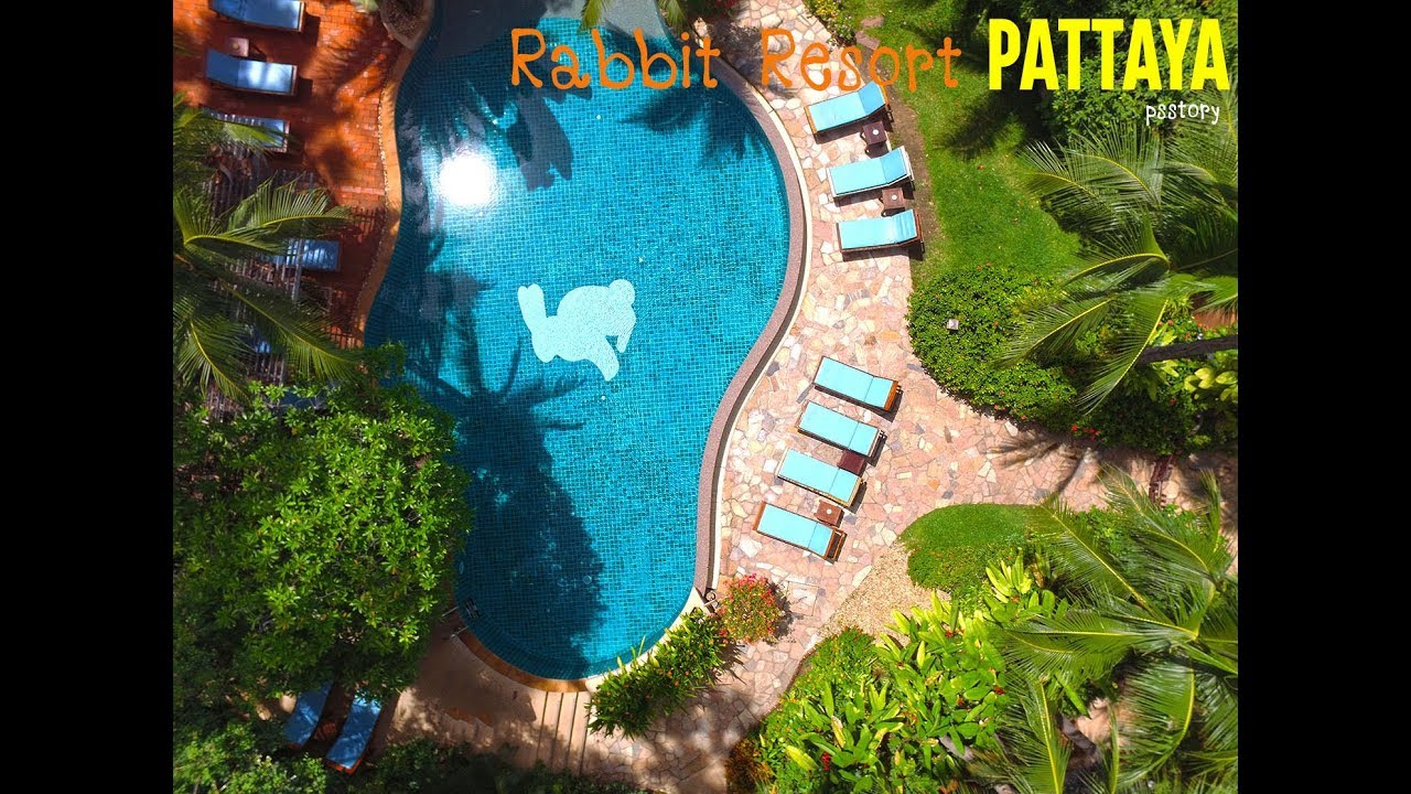 Rabbit Resort Pattaya - amazingthailand.org