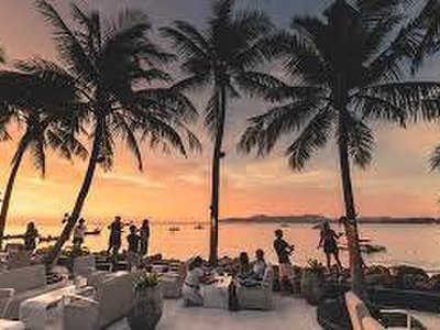 Palm Seaside - amazingthailand.org