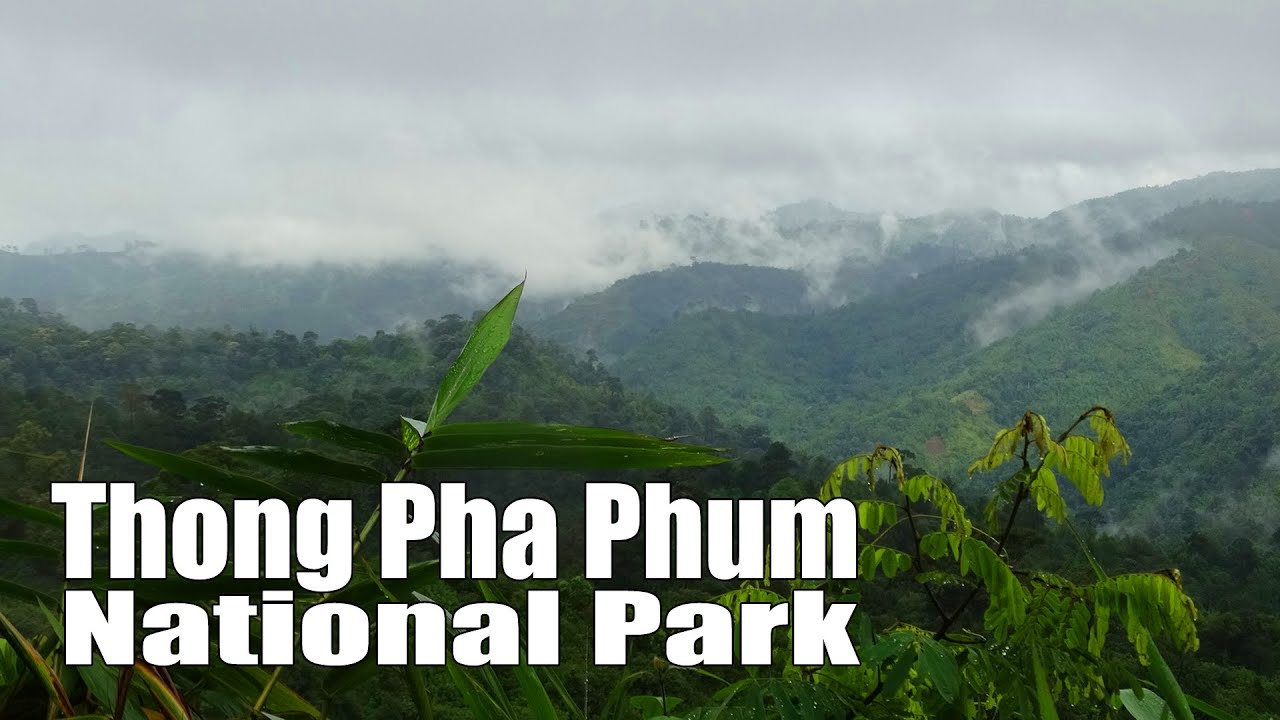 Thong Pha Phum National Park - amazingthailand.org