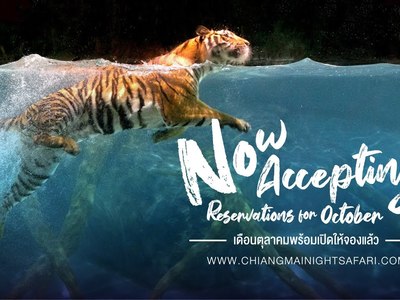 Chiang Mai Night Safari - amazingthailand.org
