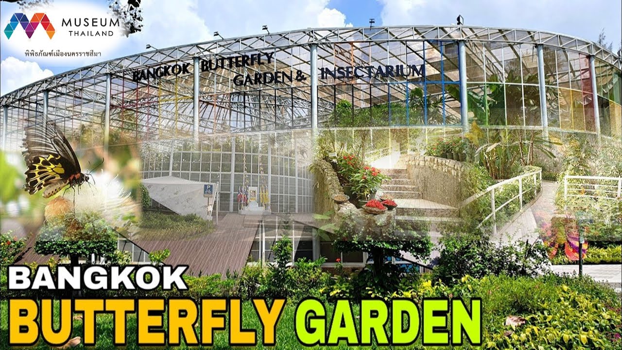 Bangkok Butterfly Garden & Insectarium - amazingthailand.org