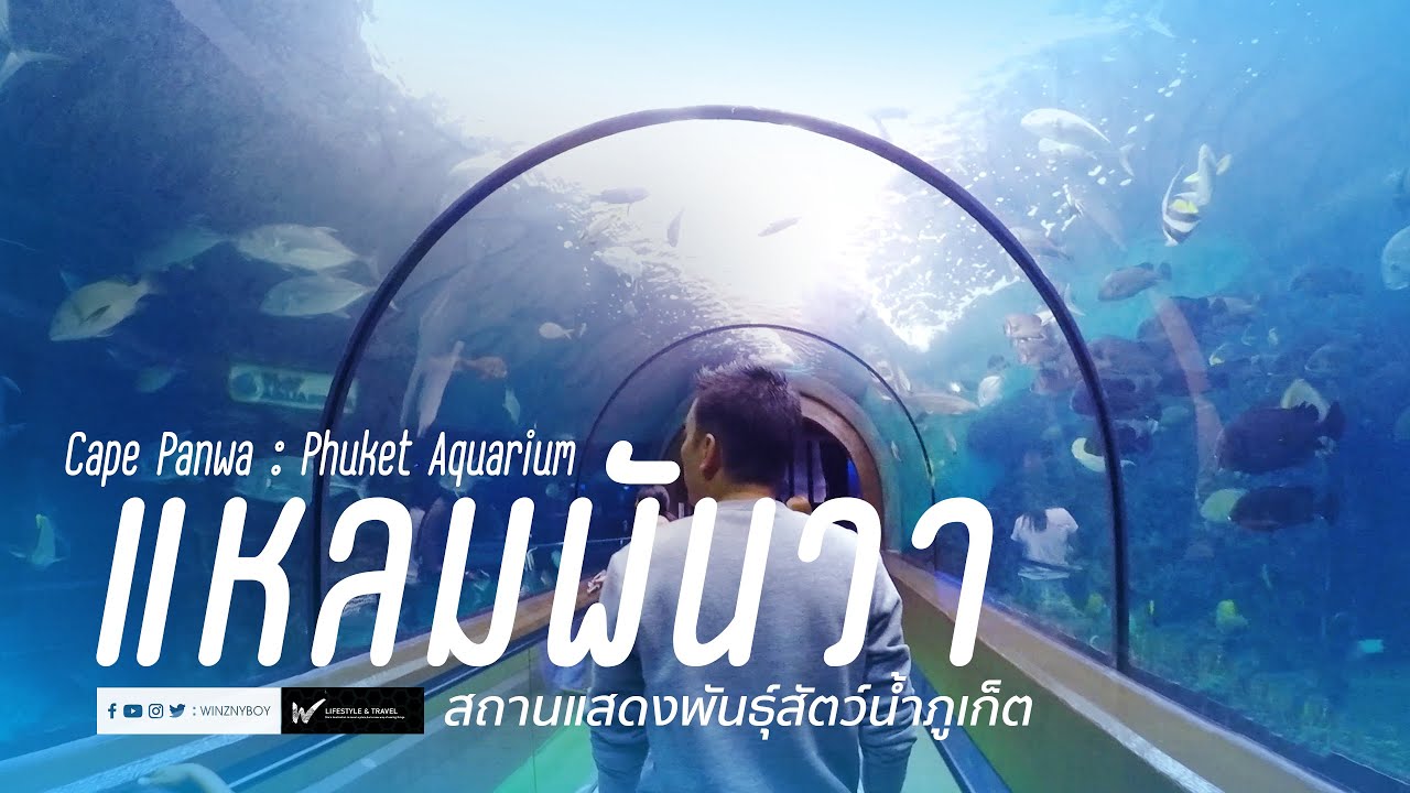 พิพิธภัณฑ์สัตว์น้ำภูเก็ต Phuket Aquarium - amazingthailand.org