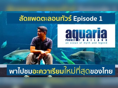 พิพิธภัณฑ์สัตว์น้ำภูเก็ต Phuket Aquarium - amazingthailand.org