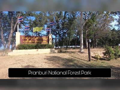 Walk through the Pranburi Forest Park Mangrove - amazingthailand.org