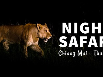 Chiang Mai Night Safari - amazingthailand.org