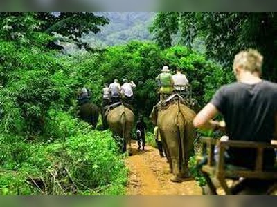 Trekking and Elephant Trekking - amazingthailand.org