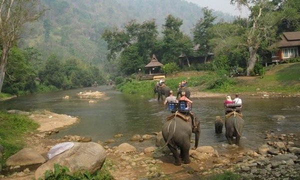 เดินป่าและขี่ช้าง - amazingthailand.org