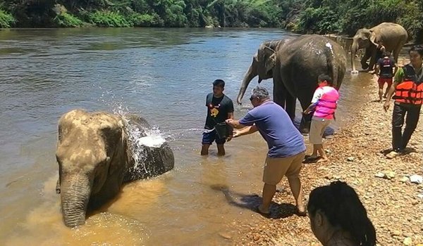 หมู่บ้านช้างไทรโยค - amazingthailand.org