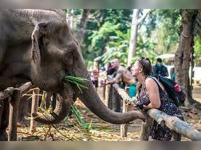 Sai Yok Elephant Village - amazingthailand.org