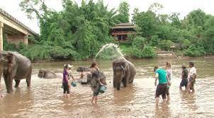 Sai Yok Elephant Village - amazingthailand.org