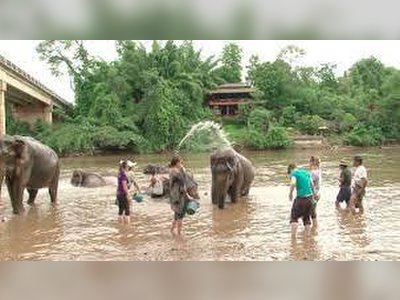 Sai Yok Elephant Village