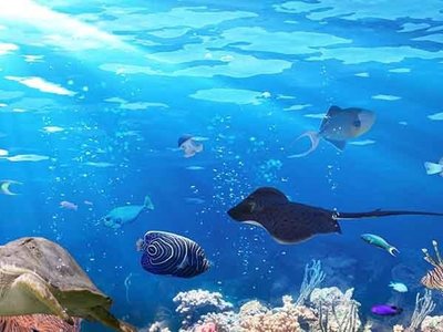Phuket Aquarium - amazingthailand.org