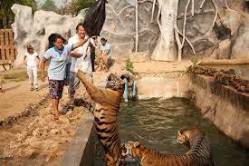 วัดเสือ (วัดป่าหลวงตาบัว) - amazingthailand.org