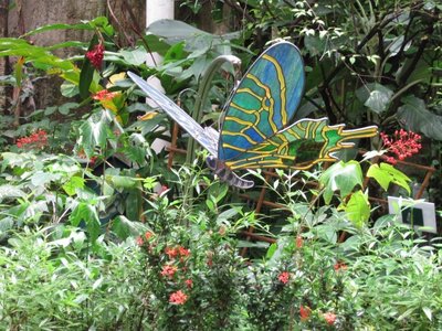 Bangkok Butterfly Garden & Insectarium