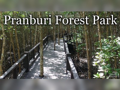 Walk through the Pranburi Forest Park Mangrove