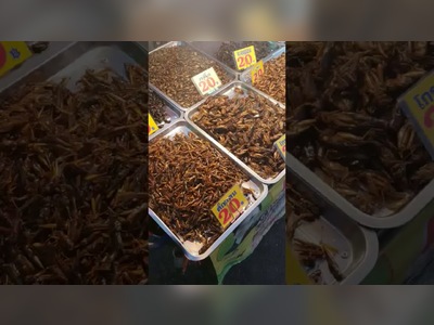 A Guide to Eating Insects in Phuket - amazingthailand.org