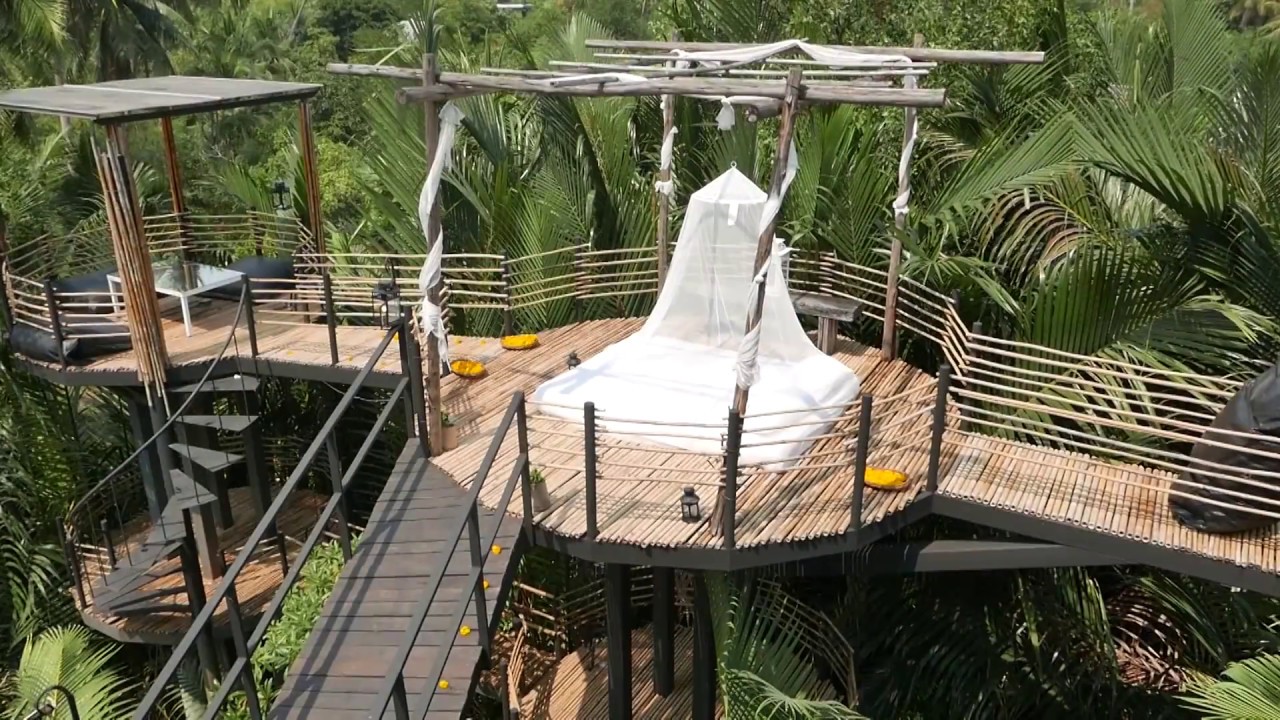 Bangkok Tree House - amazingthailand.org