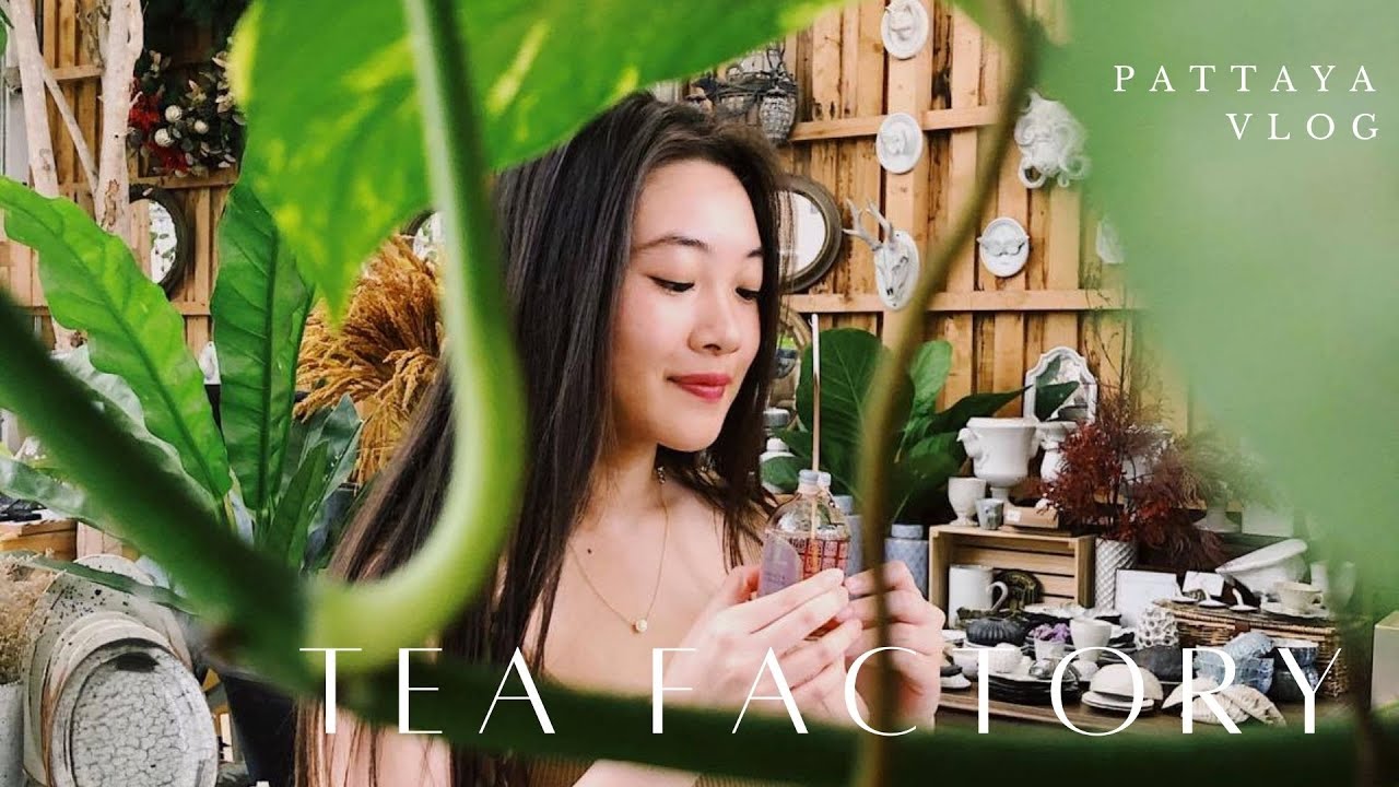 Tea Factory - amazingthailand.org