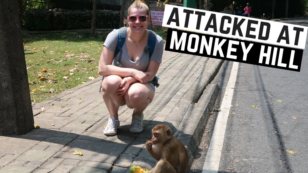 Monkey Hill in Phuket - amazingthailand.org