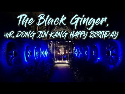 Black Ginger - amazingthailand.org