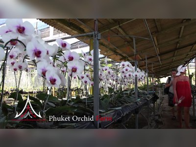 Phuket Orchid Farm