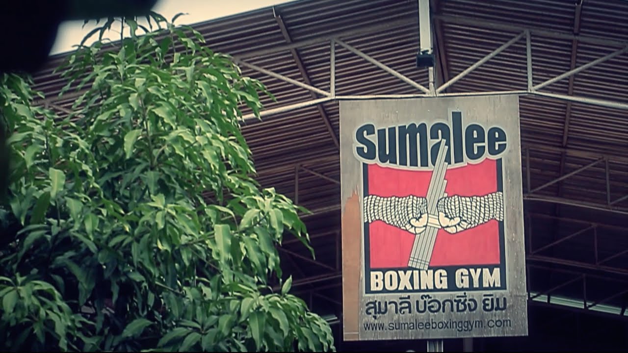 Thai Boxing Training in Phuket - amazingthailand.org