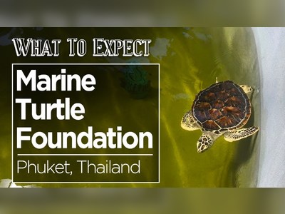 Mai Khao Marine Turtle Foundation