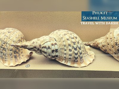Phuket Seashell Museum - amazingthailand.org