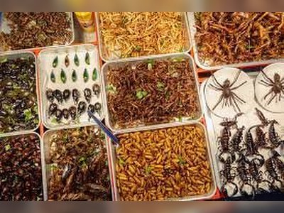 Eating Insects in Bangkok and Where to Find Them - amazingthailand.org