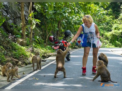 Monkey Hill in Phuket - amazingthailand.org
