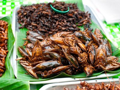 A Guide to Eating Insects in Phuket - amazingthailand.org