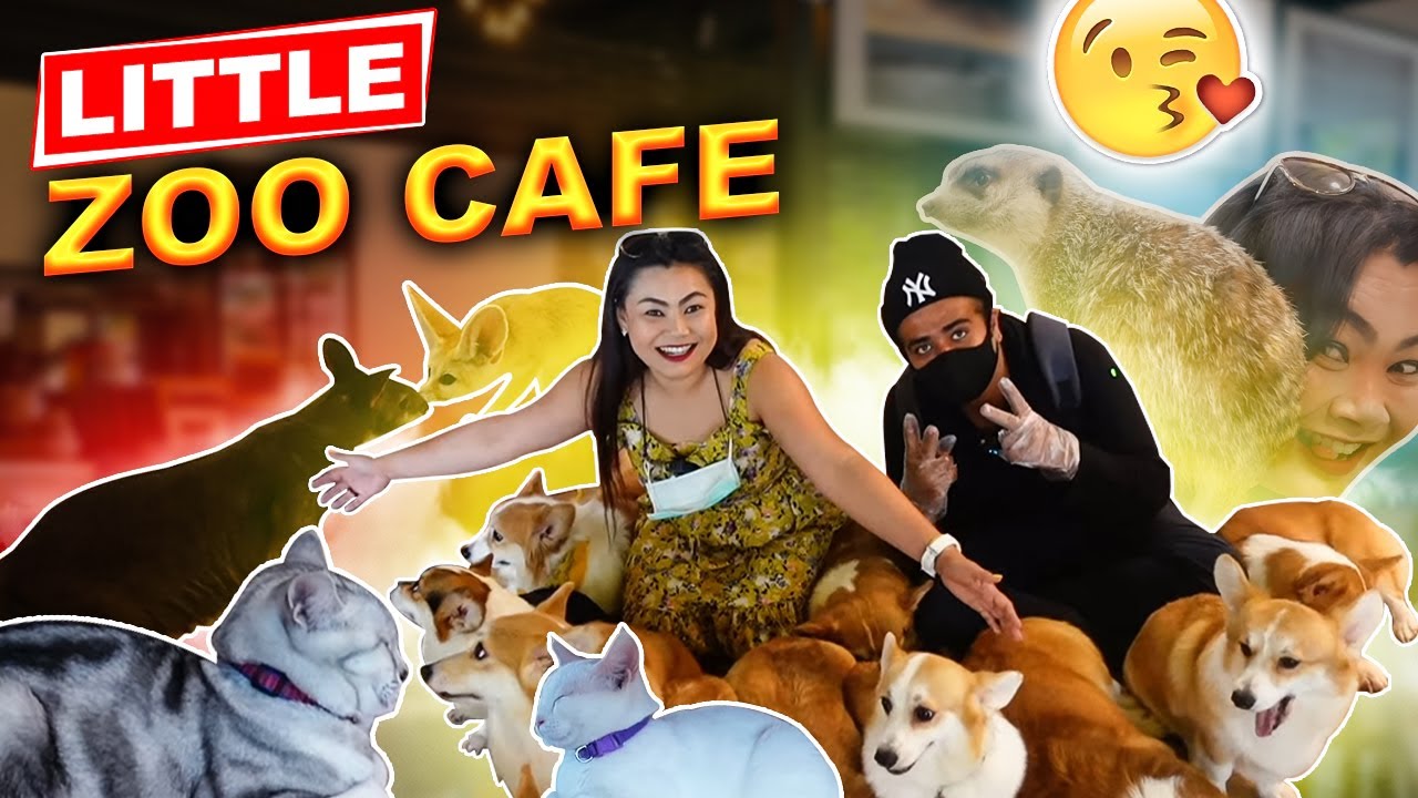 ร้านลิตเติ้ลซู คาเฟ่ (little zoo cafe) - amazingthailand.org