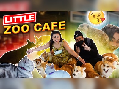 Little Zoo Café - amazingthailand.org
