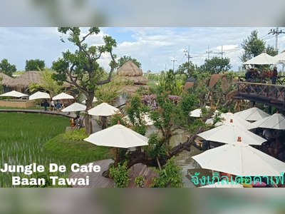 Jungle De Café - amazingthailand.org
