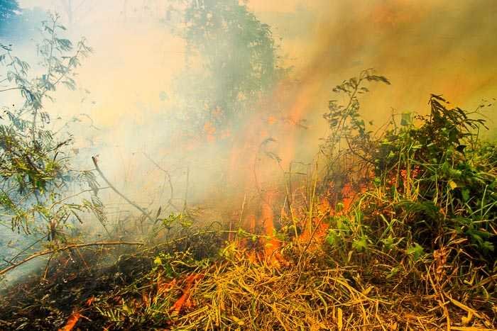 Burning Season In Chiang Mai - Everything You Need To Know - amazingthailand.org
