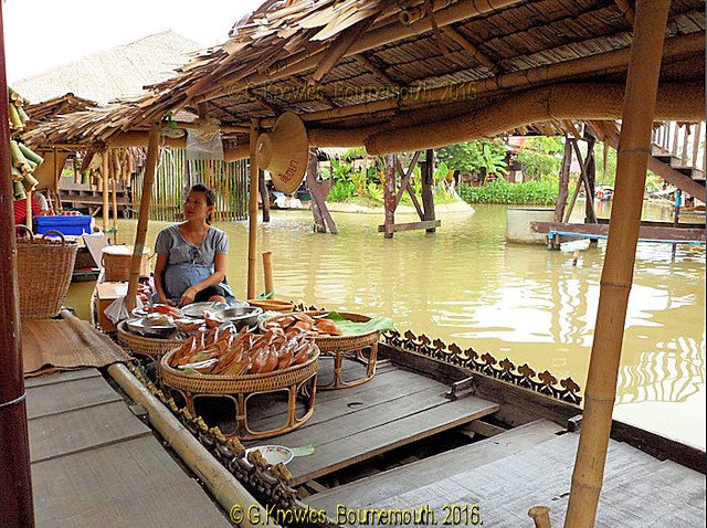 Ayutthaya Floating Market - amazingthailand.org