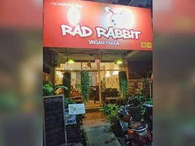 Rad Rabbit - amazingthailand.org
